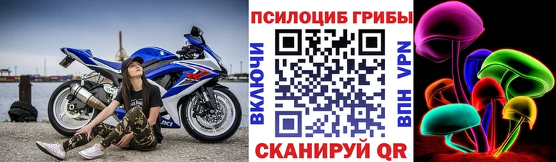 дарнет шоп  Николаевск-на-Амуре  Галлюциногенные грибы прущие грибы 
